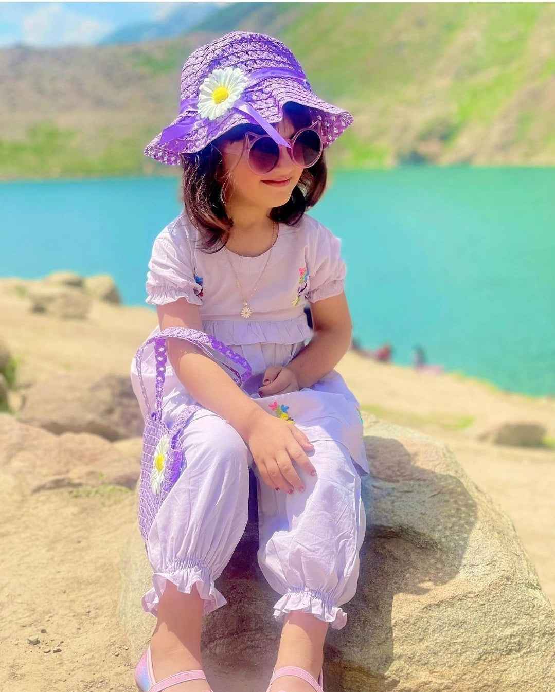 Purple Butterflies